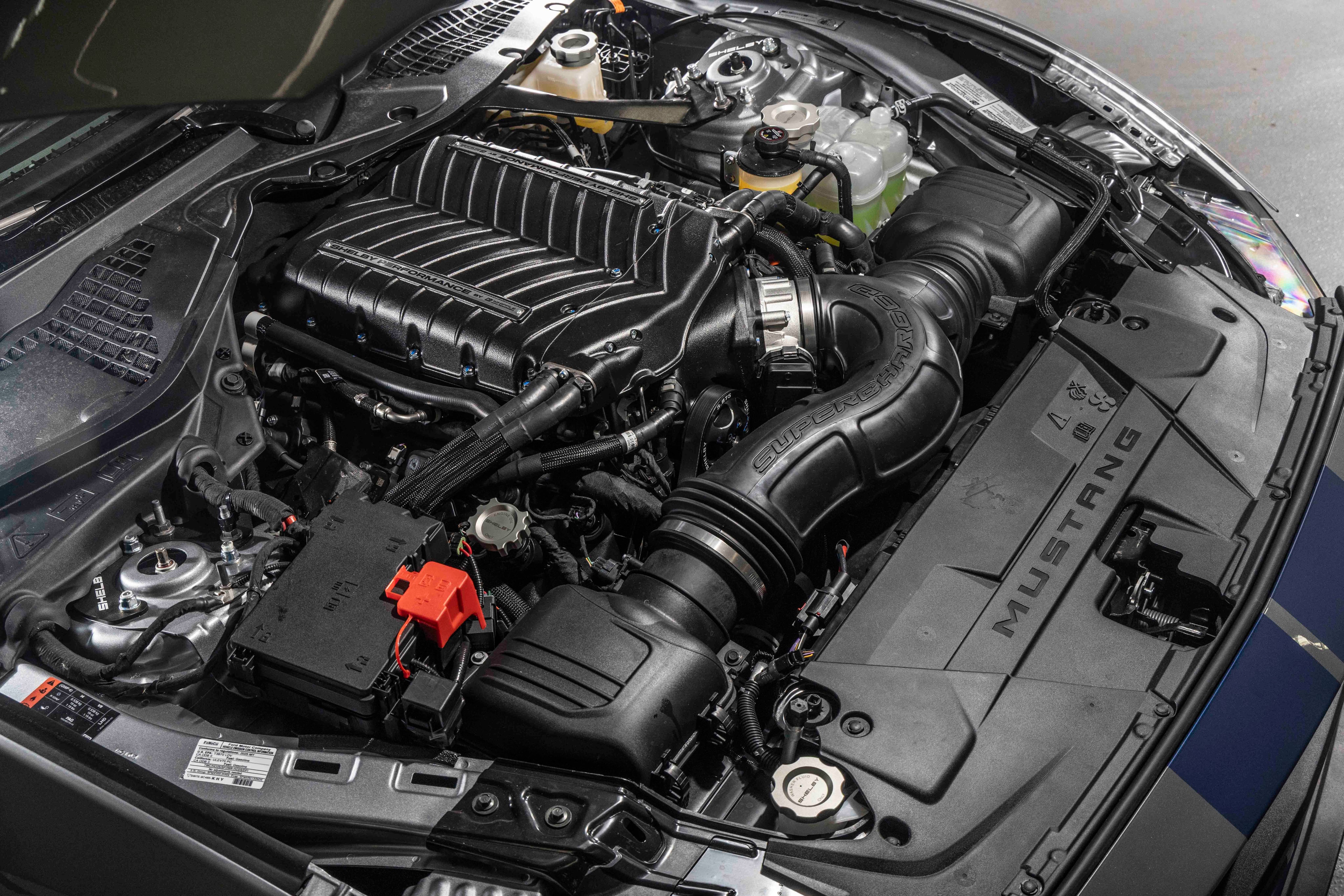 Shelby GT350 supercharged engine bay