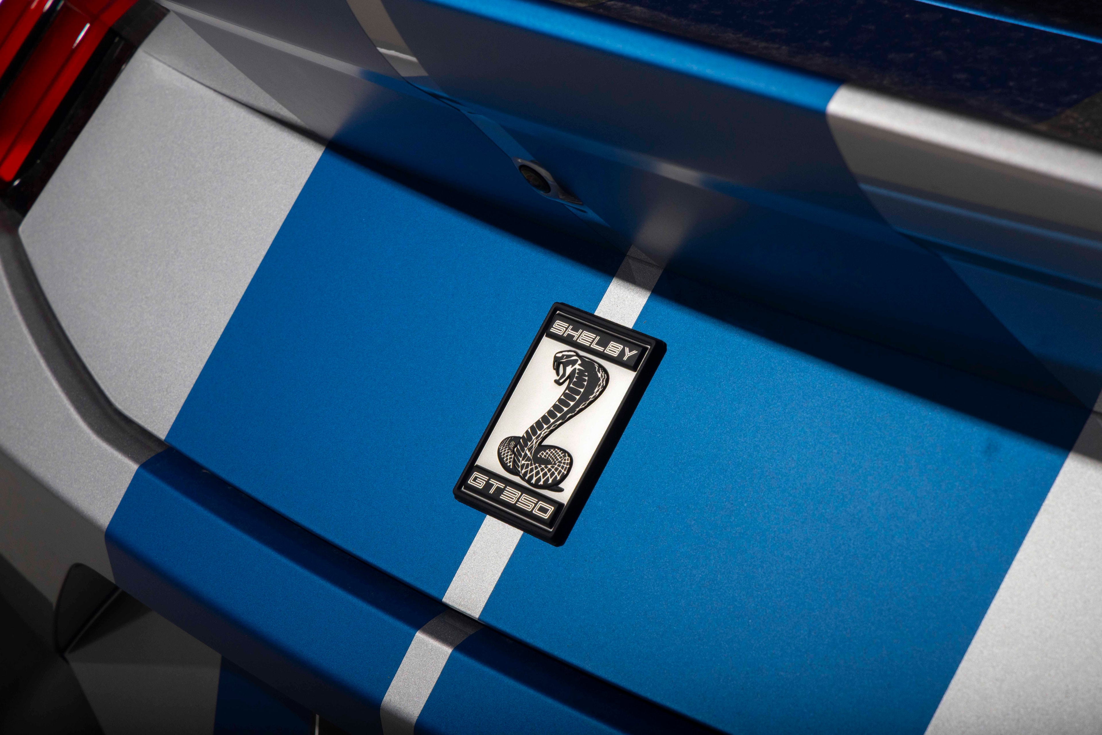 Torque Flow-Forged wheels on Shelby GT350