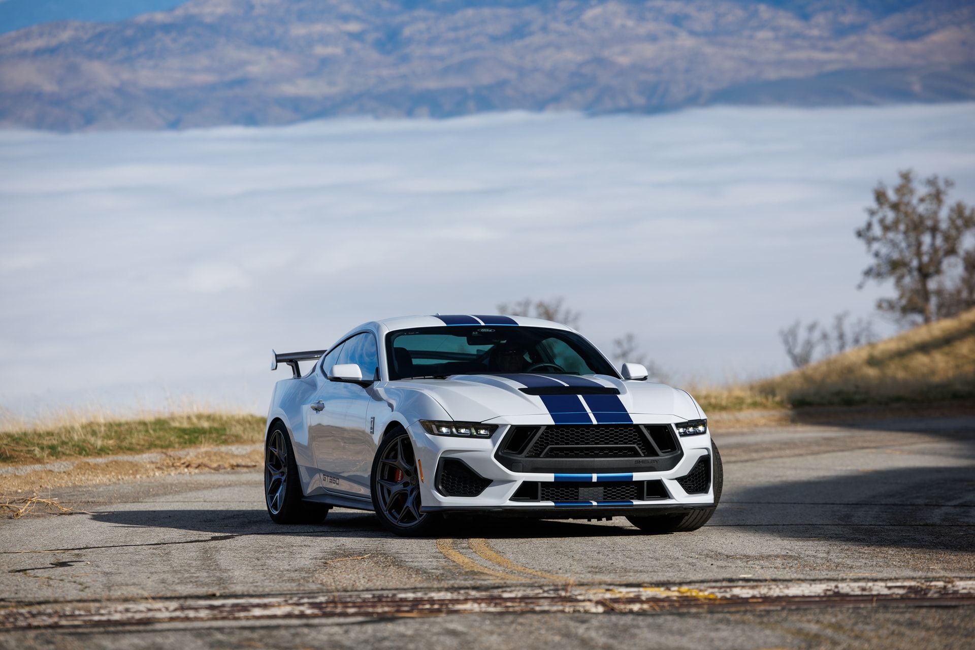 2026 Shelby F150 Offroad